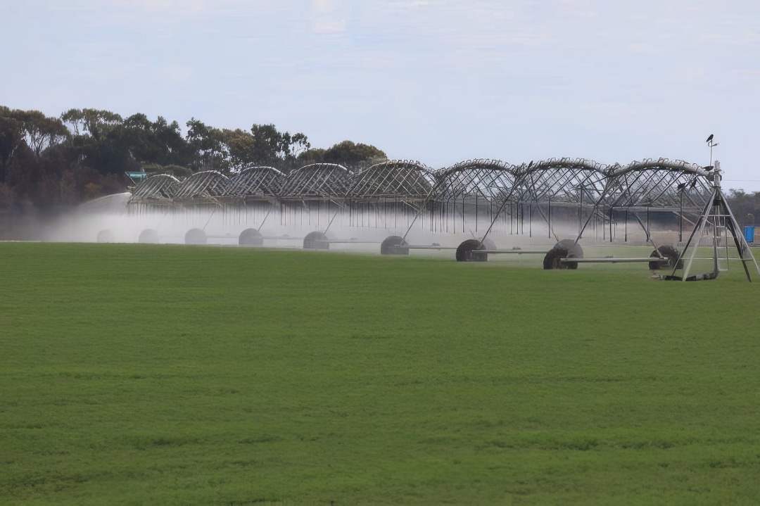 Large irrigator in Chickpea Field