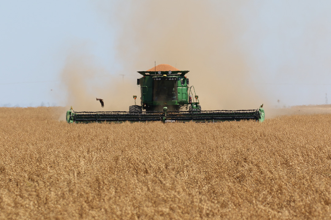 Harvester driving through wheat field