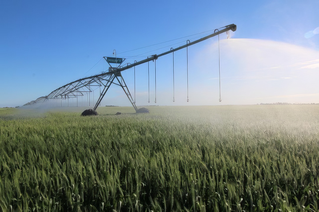 Large irrigator in wheat field