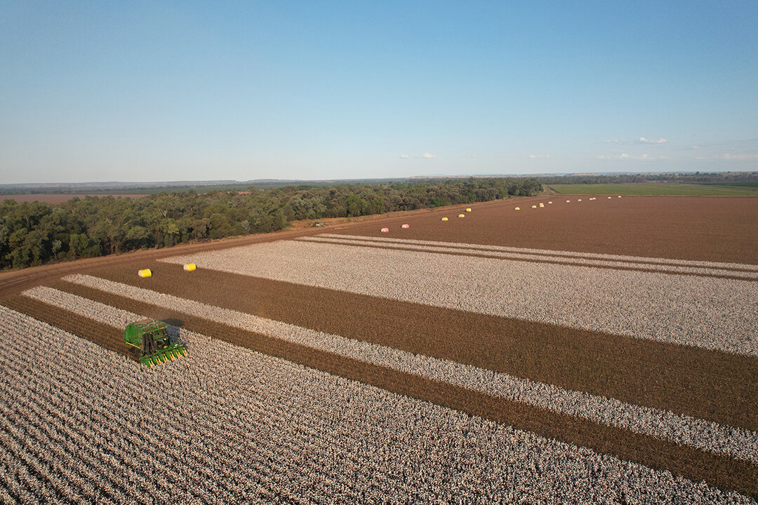 Aerial view of a cotton field. A harvester is partway through harvesting the cotton. In the distance are yellow wrapped cotton bails